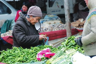蘭州市居民菜籃子難承菜價之重 新鮮蔬菜批發環節分析