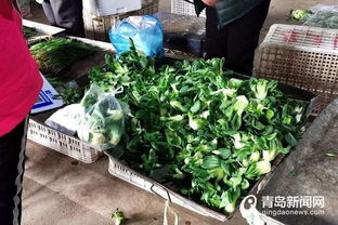 青島各大商場與超市營業時間調整情況及最新菜價信息