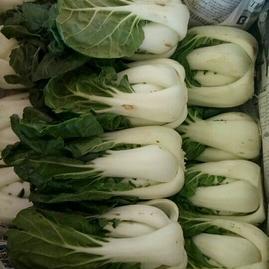 云南昆明晉寧區黃佑正蔬菜批發部 新鮮蔬菜批發的一站式選擇