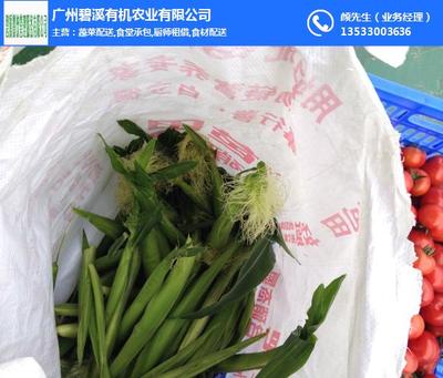 增城蔬菜配送選哪家？碧溪餐飲以新鮮與專業(yè)領(lǐng)跑行業(yè)